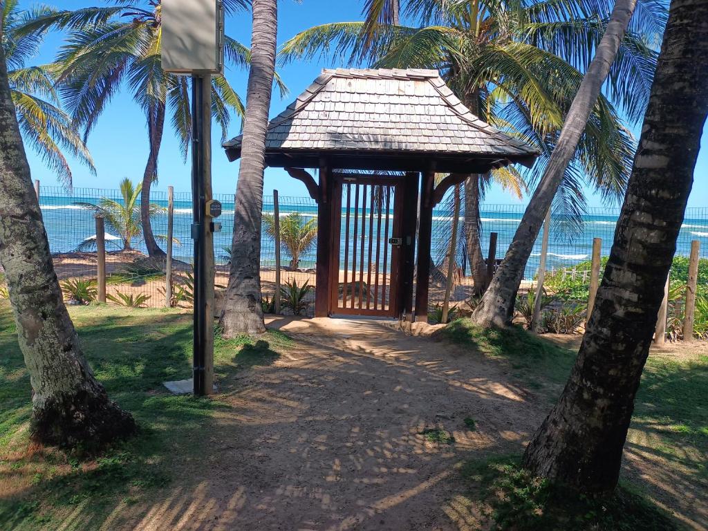 Beach Premium Praia do Forte photo 3