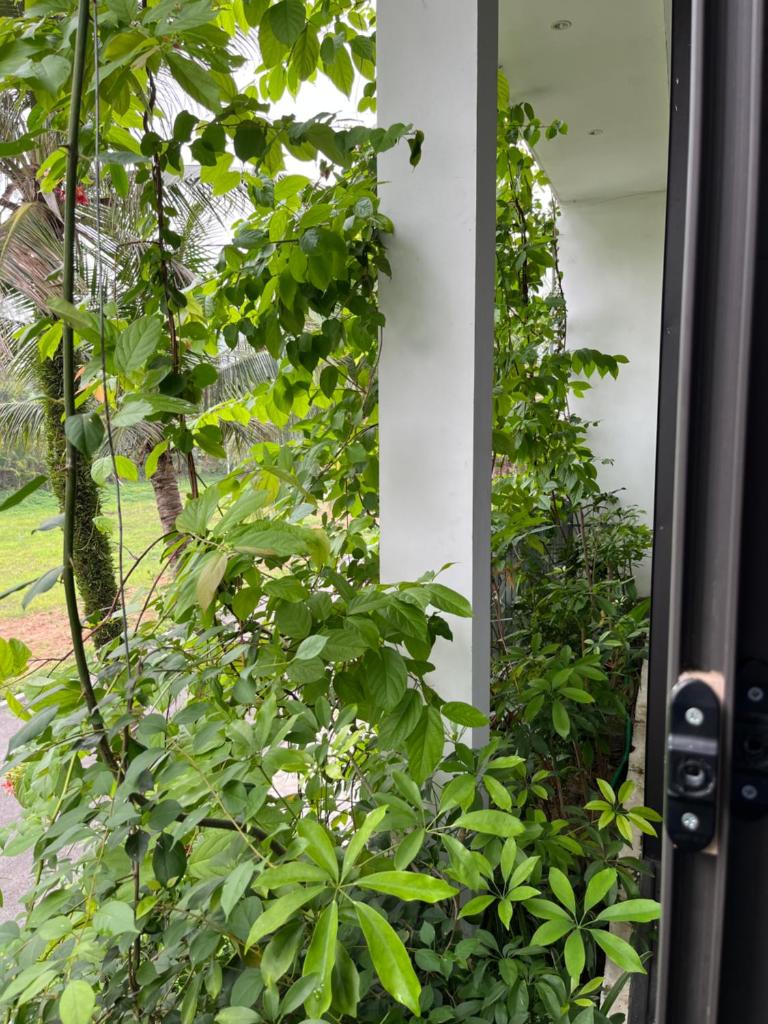 BT Flamingo Night Street Đại Lải 4 phòng ngủ