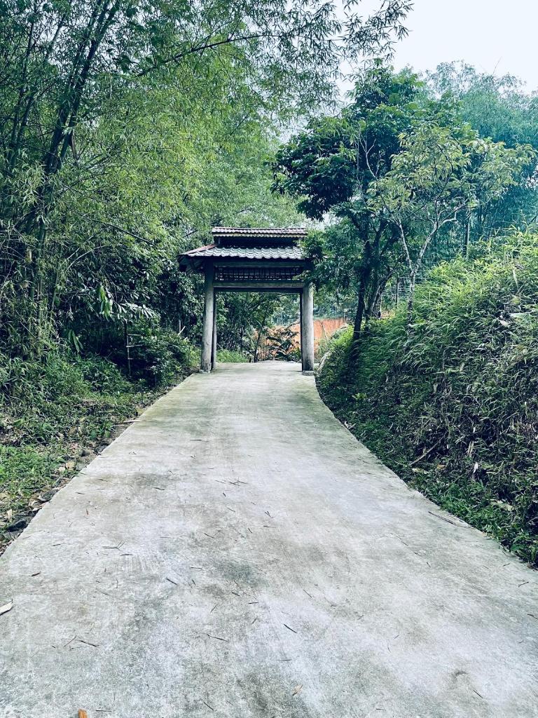 Mận Homestay - Lục Yên Homestay and Tour