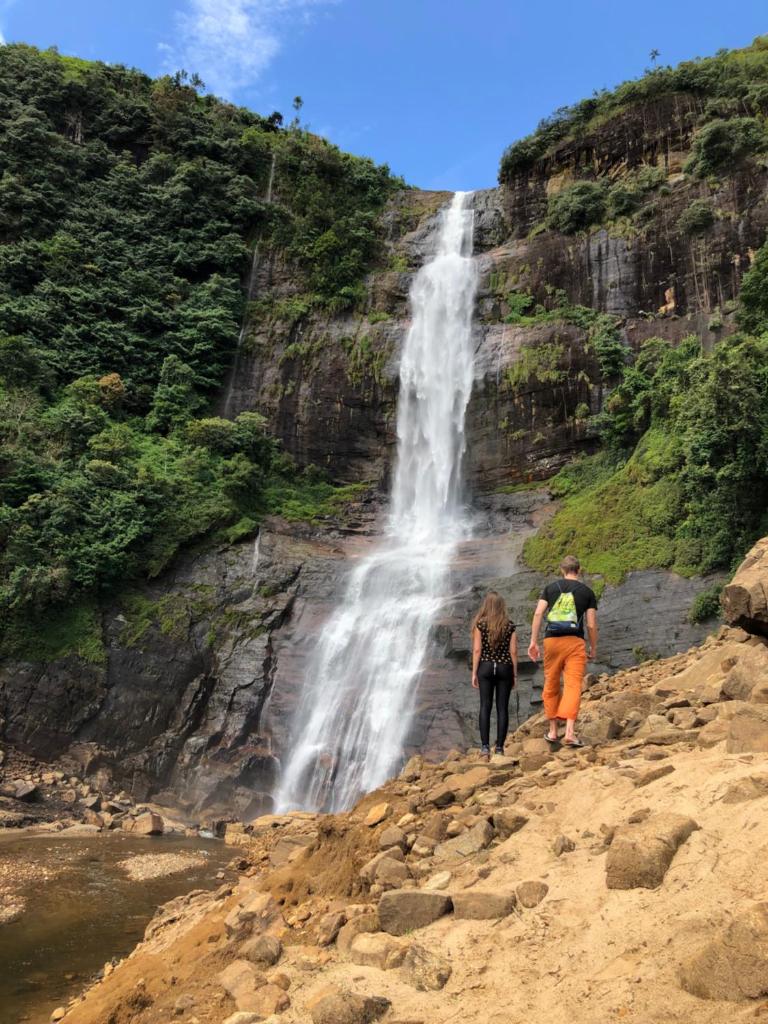 Hotel mango tree nearest Adam's peak photo 4