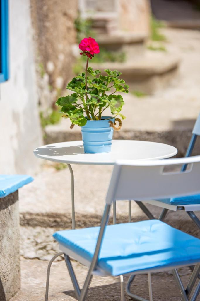 Mediterranean house Markoc new renovated! photo 4
