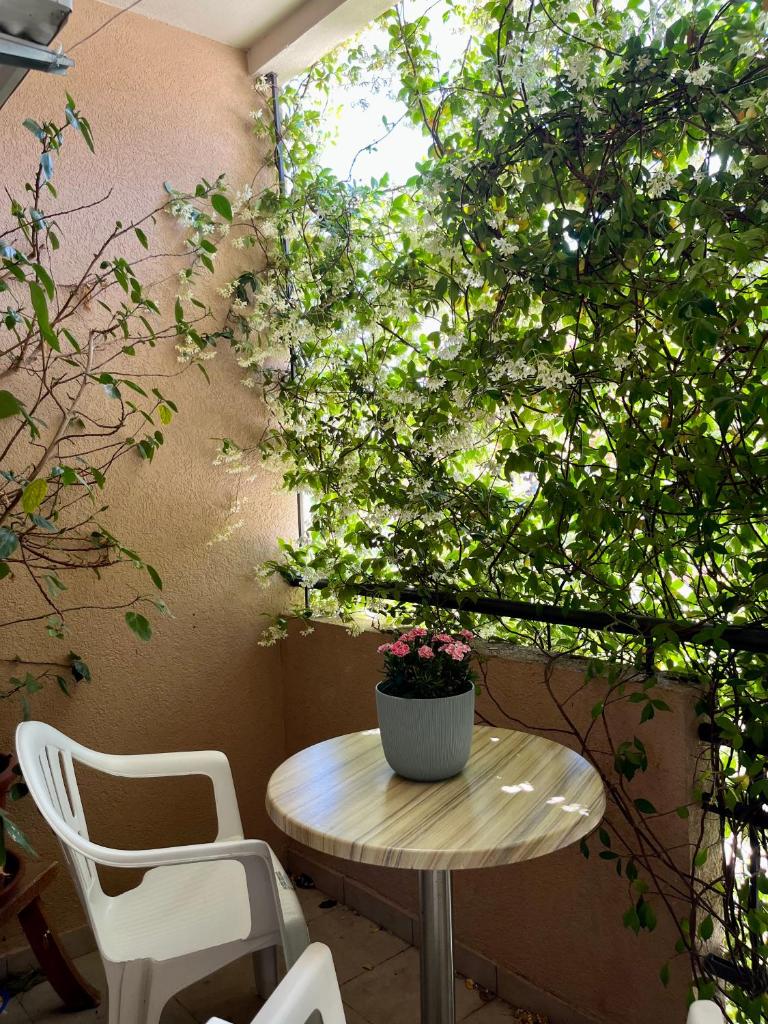 Apartmani Goran i Jelena Zec photo 2