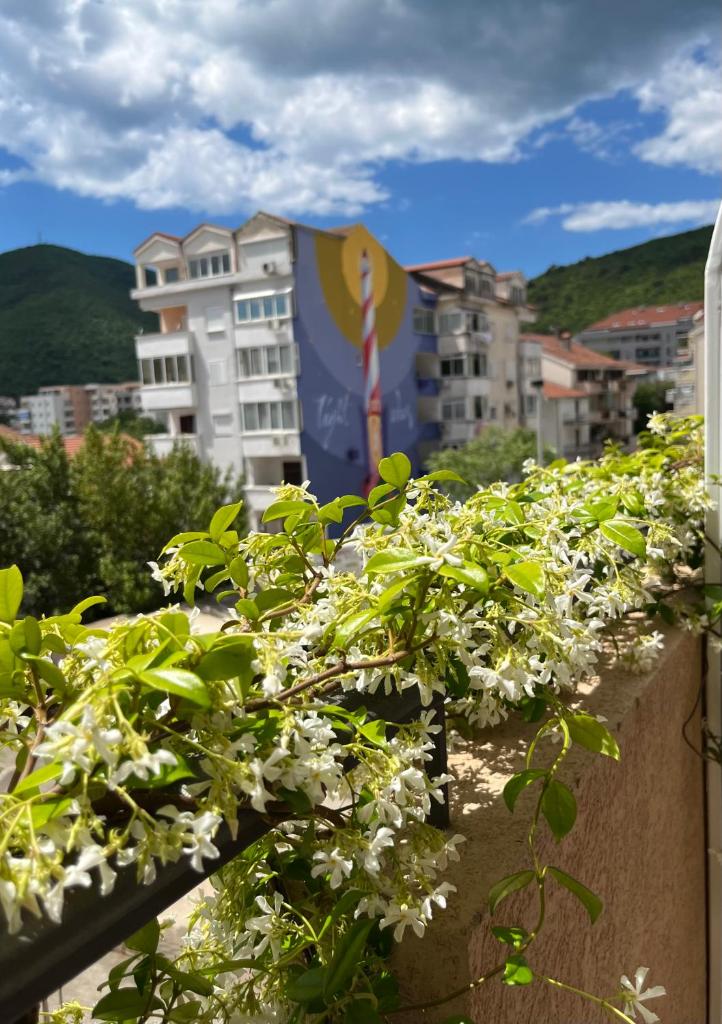 Apartmani Goran i Jelena Zec photo 1