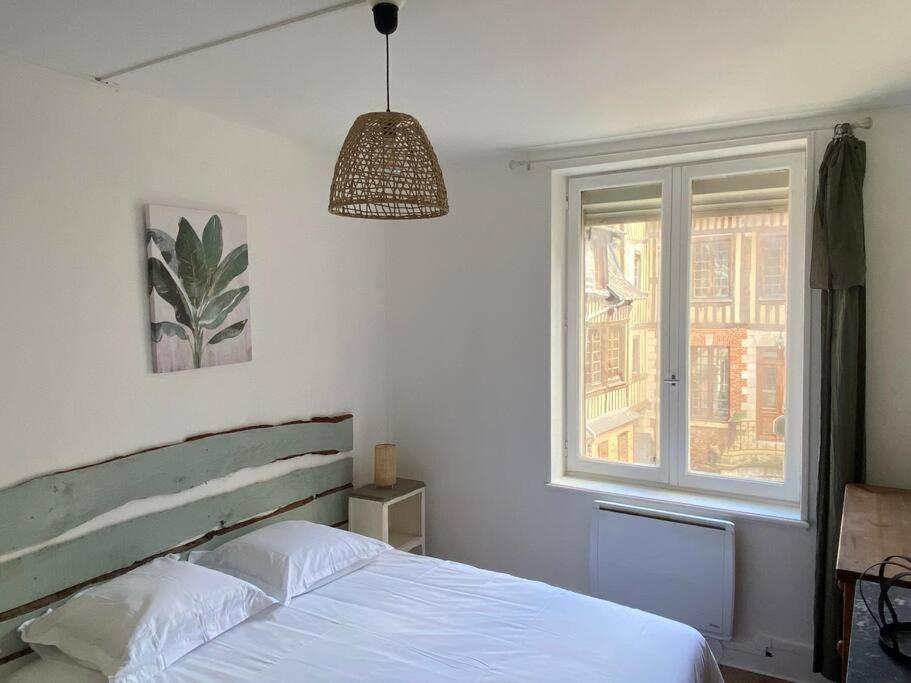 Suites Carnot, Venise Normande. photo 4