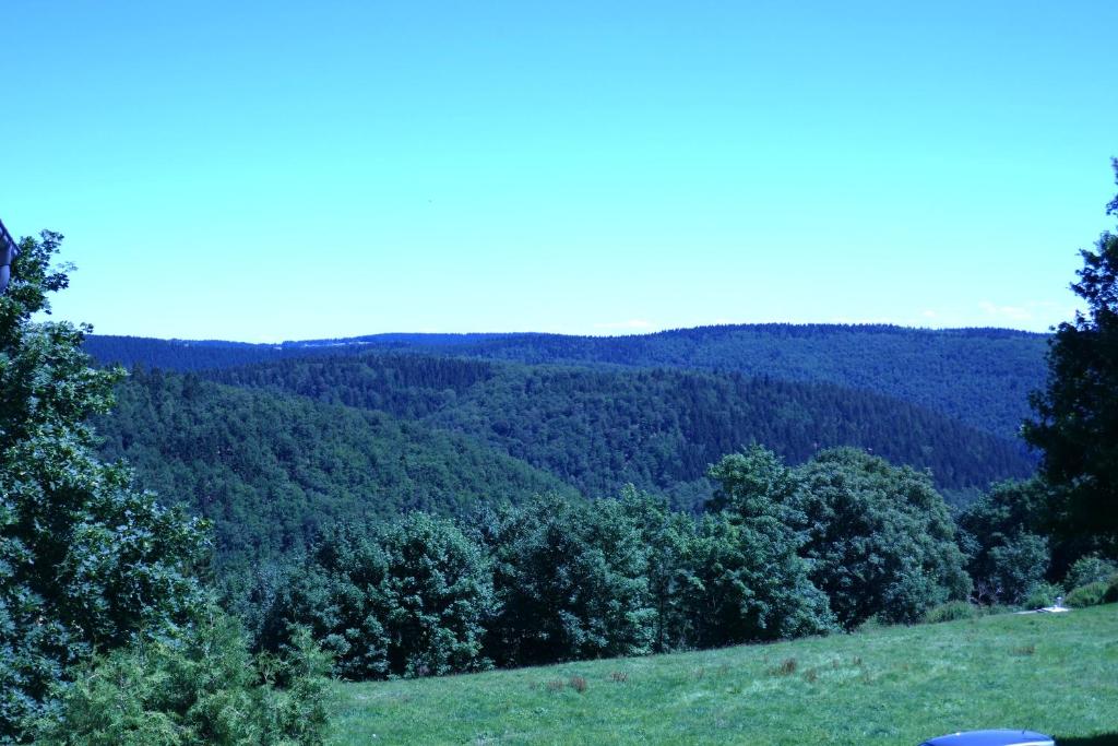 Haus Bergblick photo 3