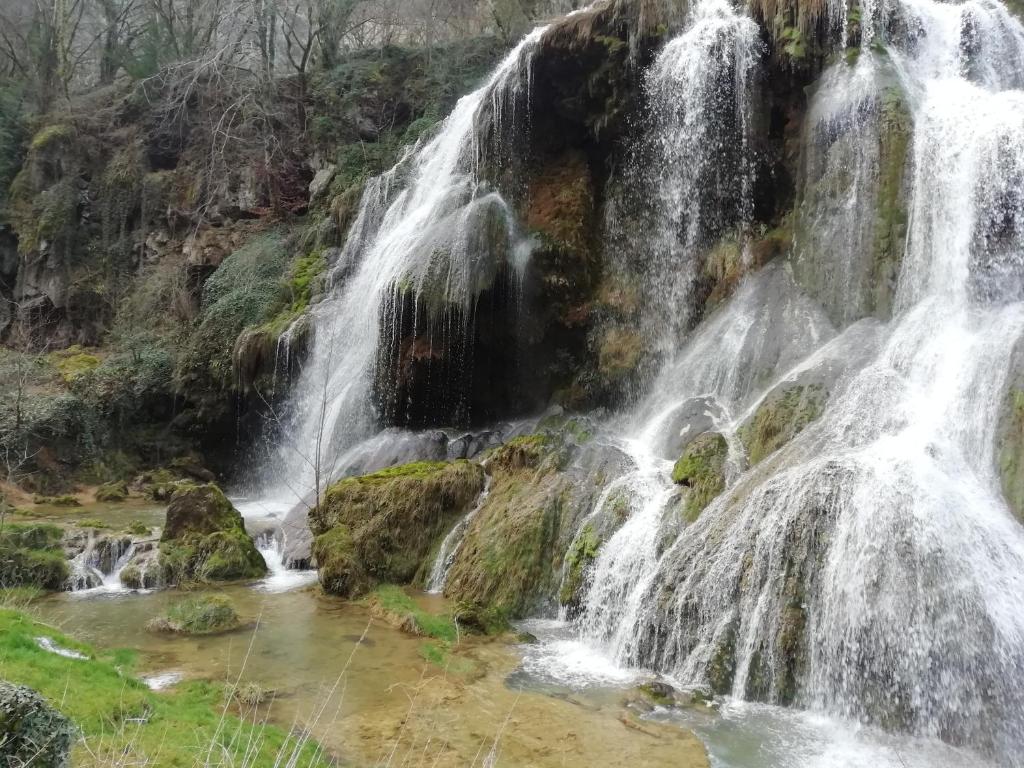Aux 3 Licornes photo 2
