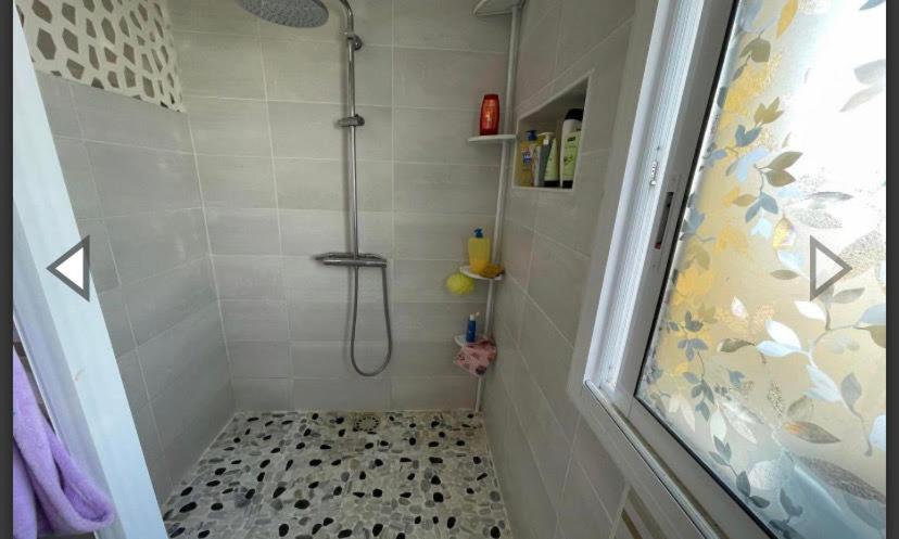 Villa ALCANAR PLATJA photo 3