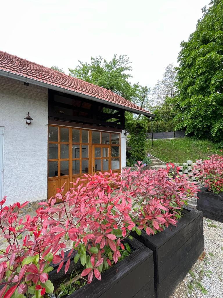 Cesargradska klet photo 2