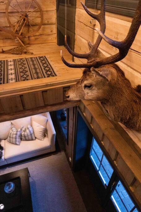Roalden Mountain Lodge photo 3