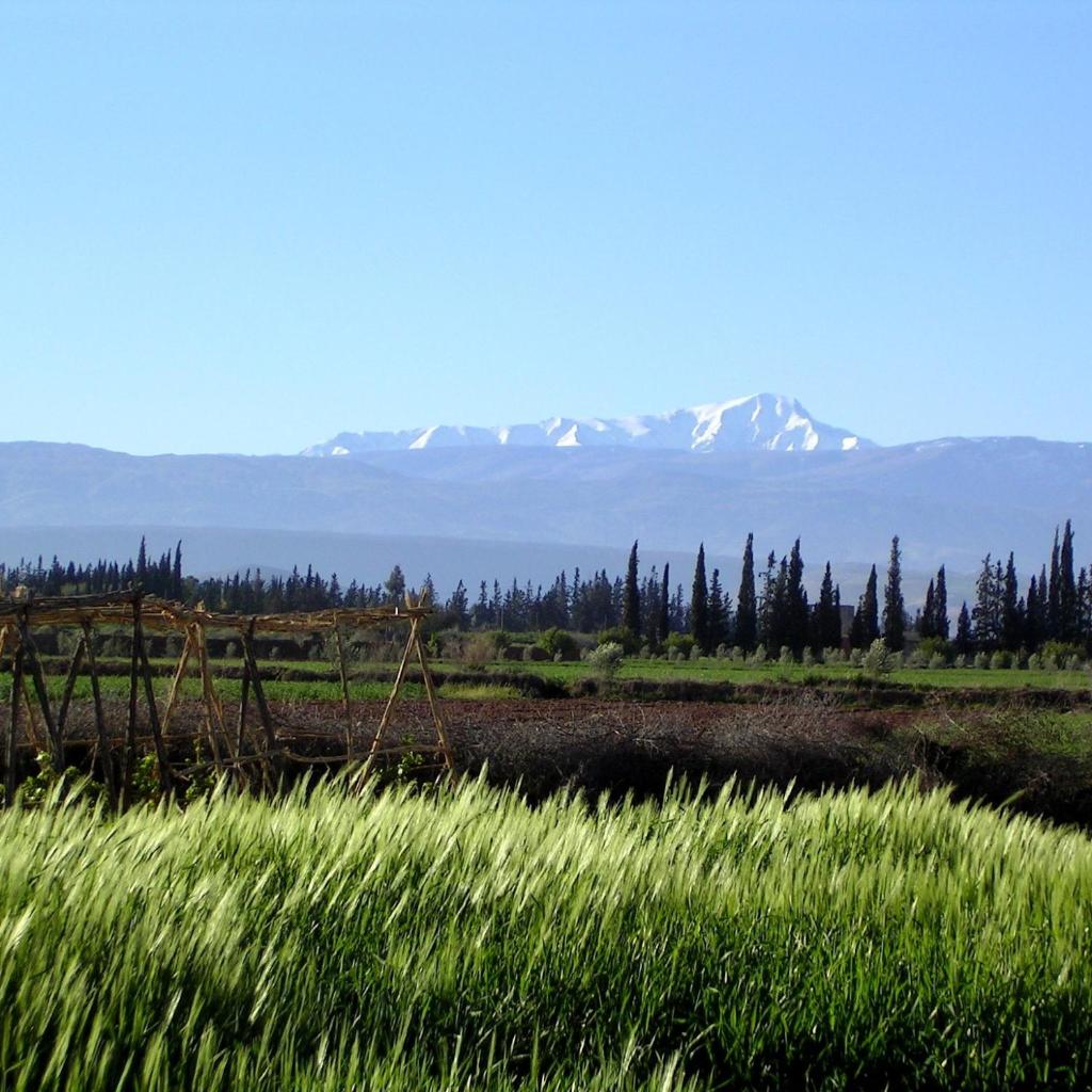 Dar Tasmayoun photo 2