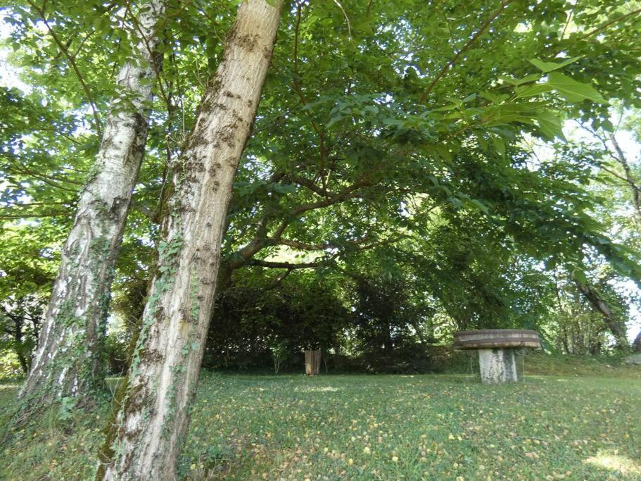 Grand appartement 4/5 personnes photo 3