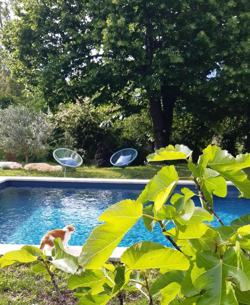 Mas Notre-Dame, Jardin petit paradis, literie haut de gamme photo 1