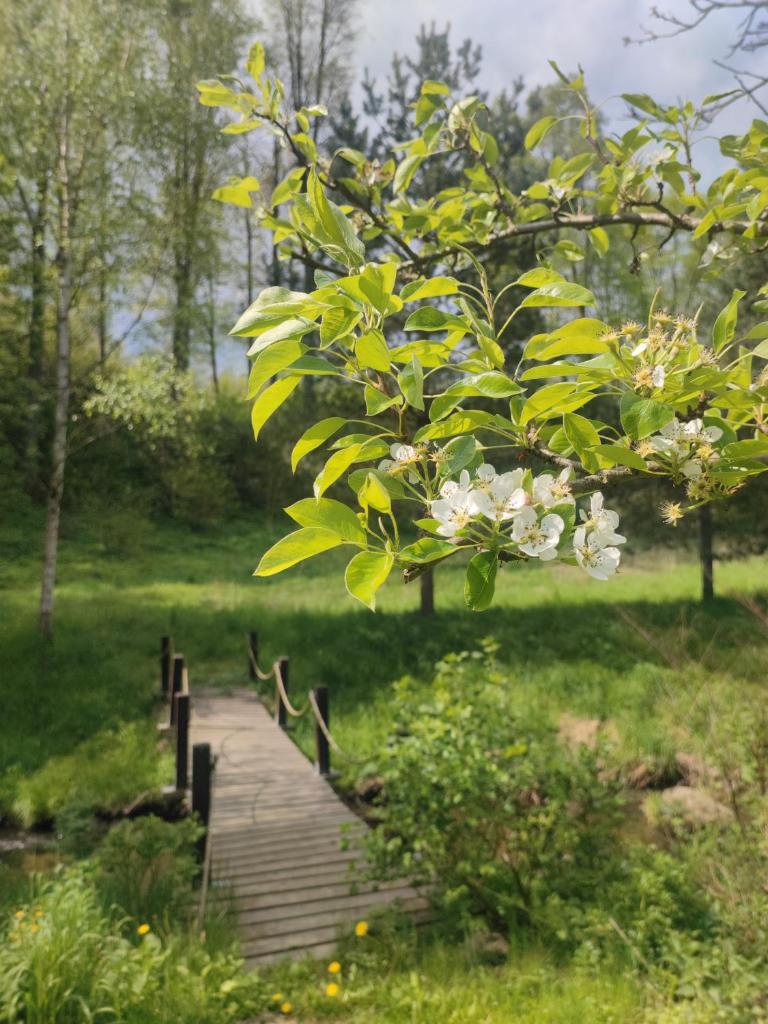 Lusatia Farm photo 2