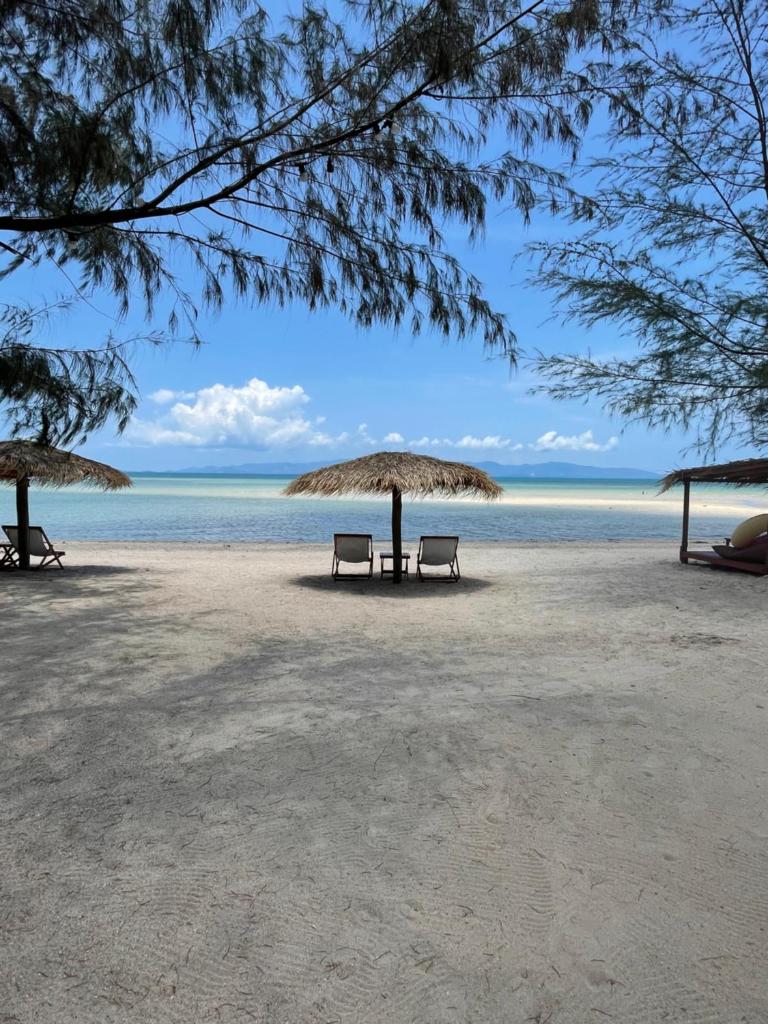 All At Sea Beach Resort photo 1