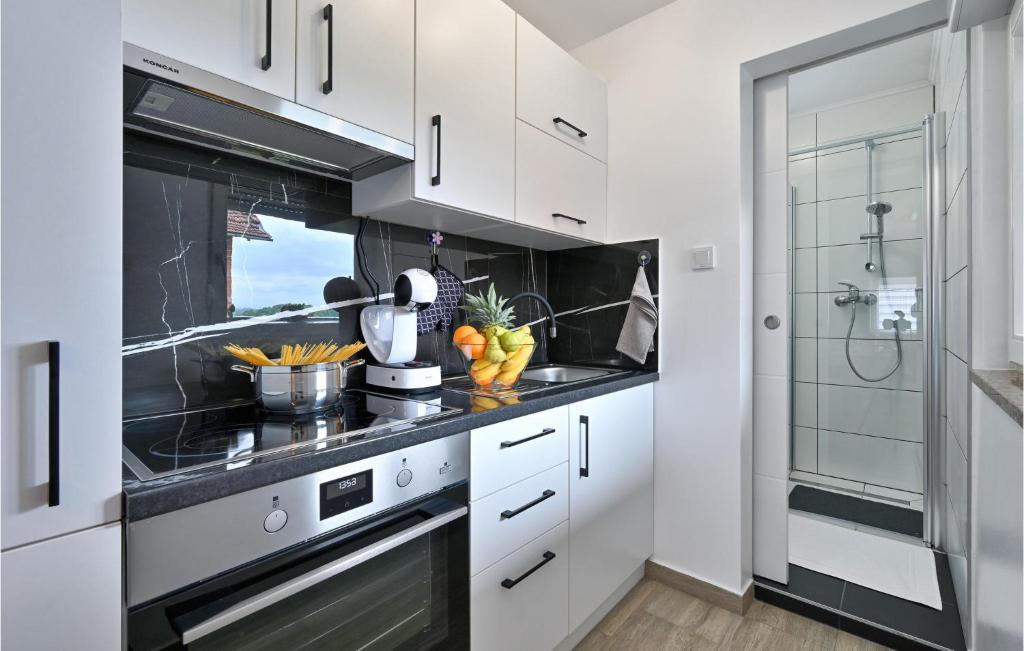 Awesome Home In Veliko Trgovisce With Jacuzzi, Wifi And 1 Bedrooms photo 1