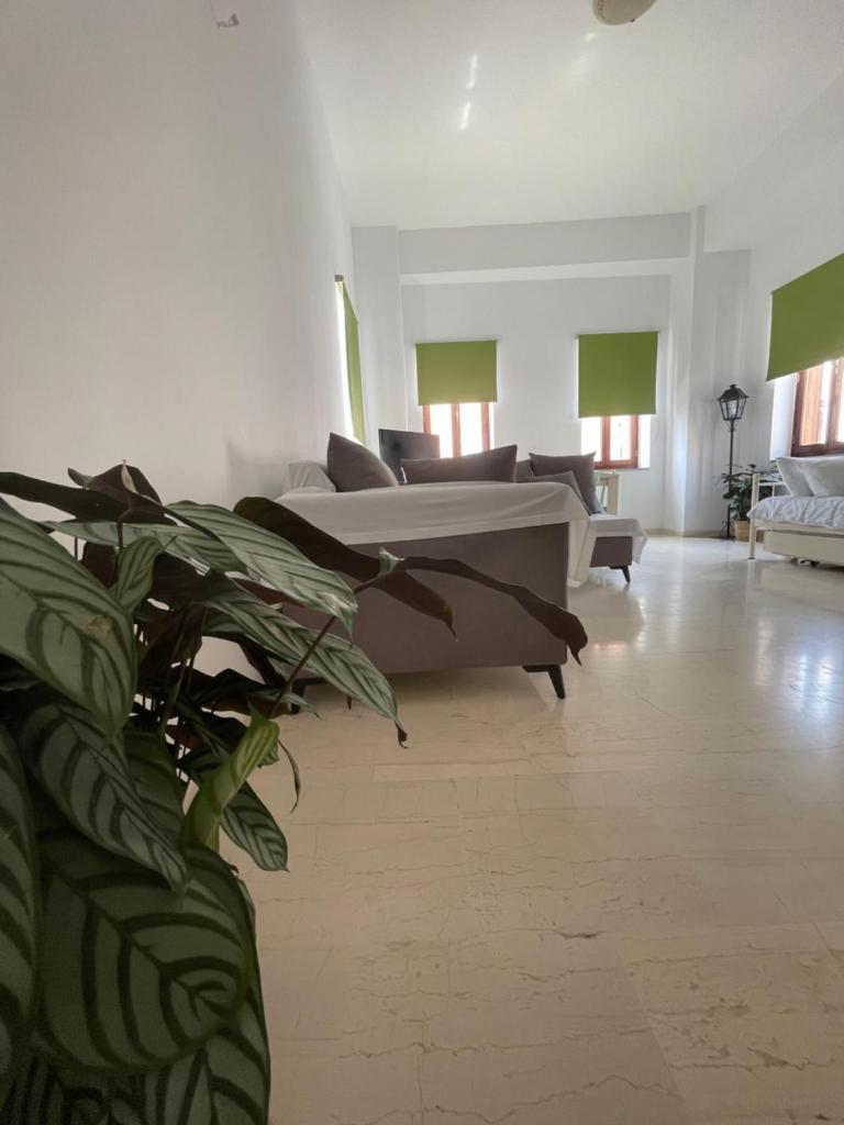 Aphaias Apartments Room Type - One-Bedroom Apartment