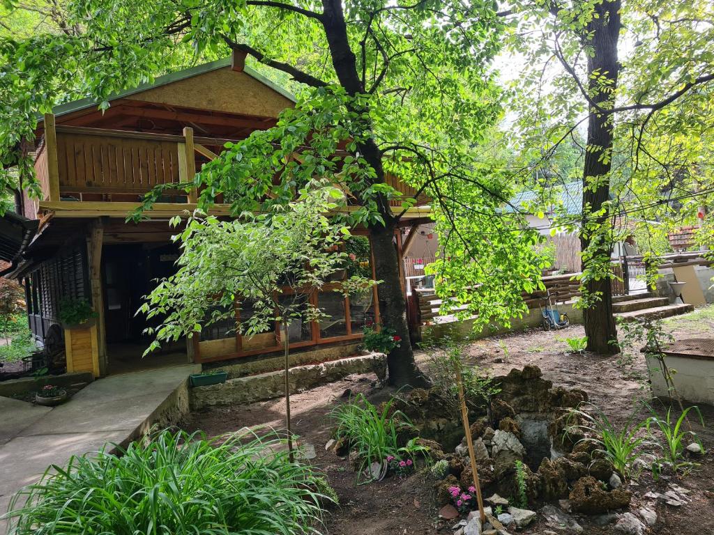 Ribarev san photo 3