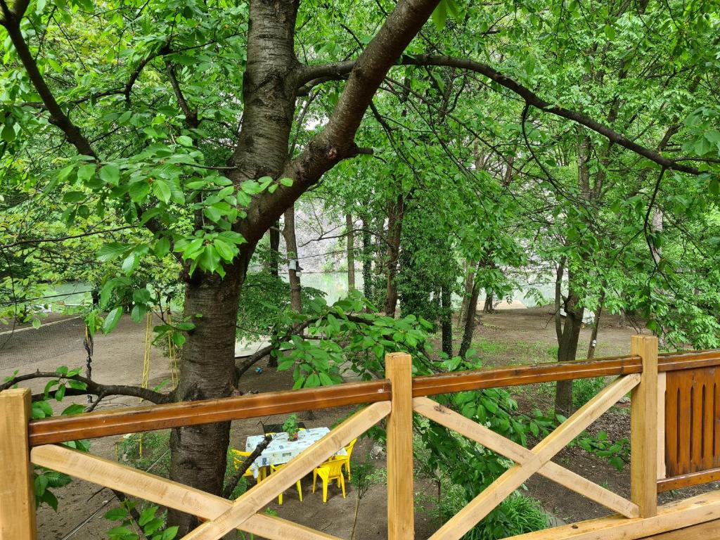 Ribarev san photo 1