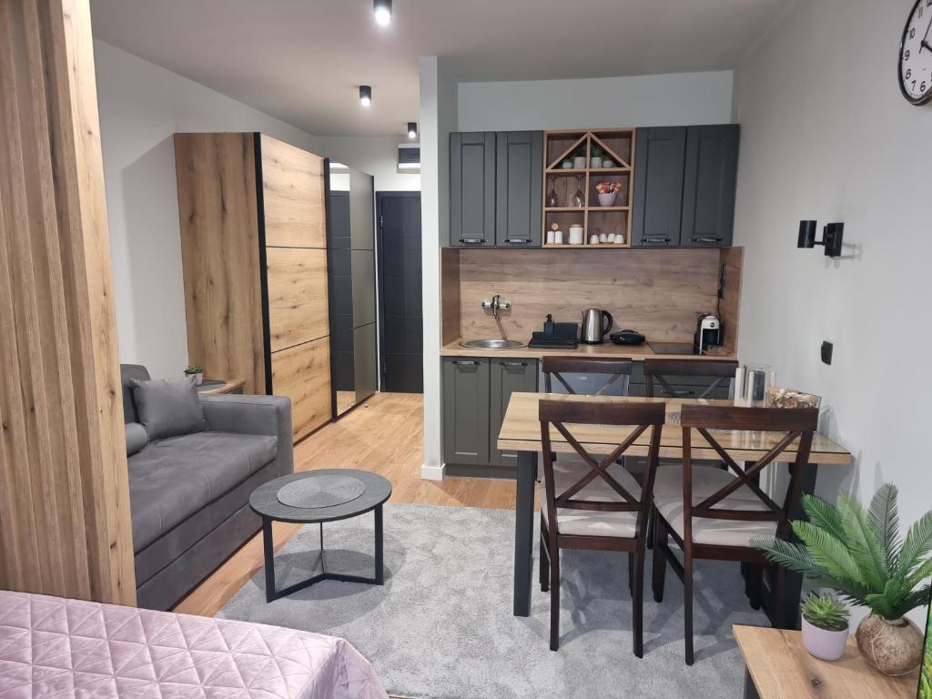 Apartman "PUZZLE" Bela Reka, Brzeće photo 3