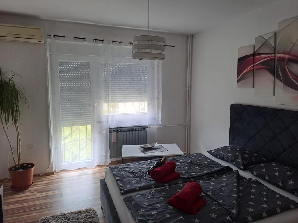 Studio apartman BF photo 2