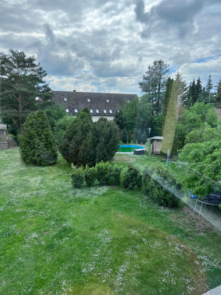 Ferienwohnung Bella in Heidenau bei Dresden photo 4