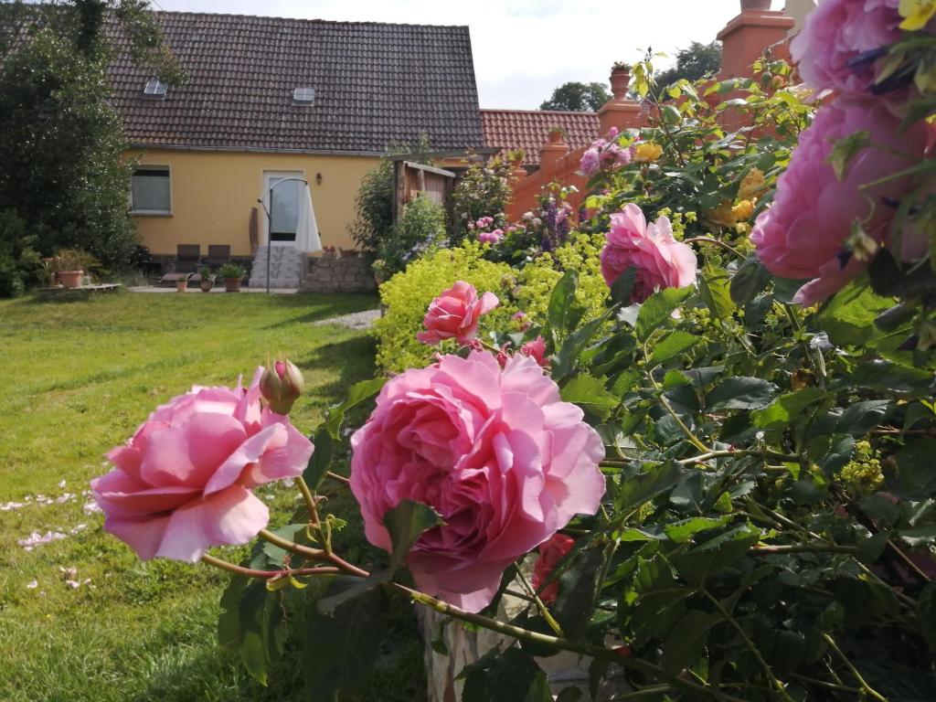 Strandhaus Mariflor photo 3