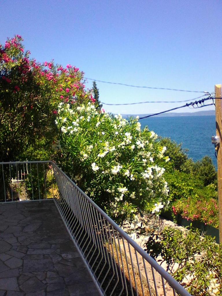 Villa Teodora photo 2