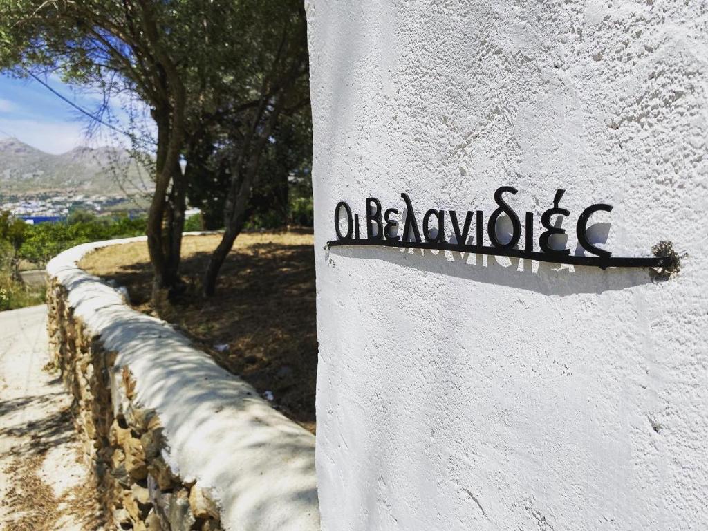 The Velanidies - Οι Βελανιδιές photo 4