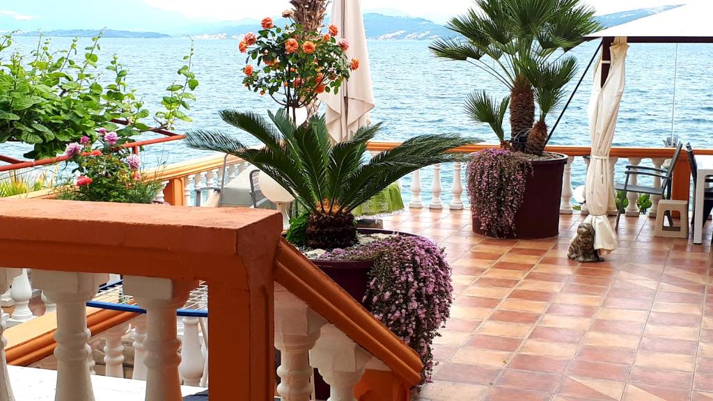 Apartmani Kalinic photo 4