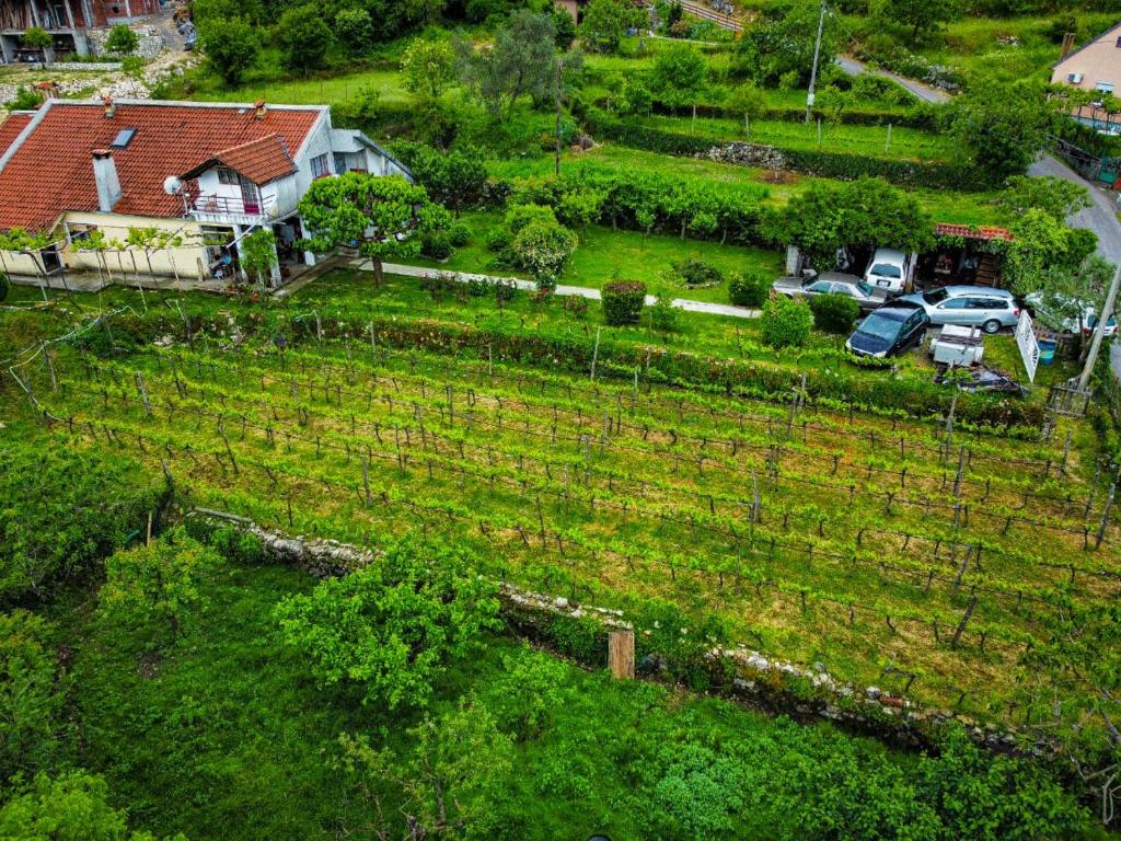 Domaćinstvo Luka i Ana - Rakus photo 1