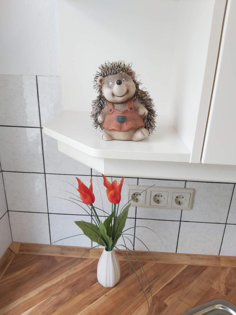 Hubis Ferienwohnung photo 4