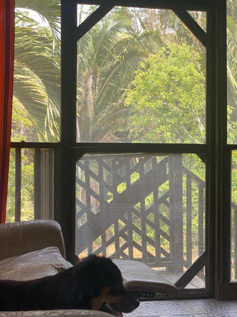 Inn the bush photo 2