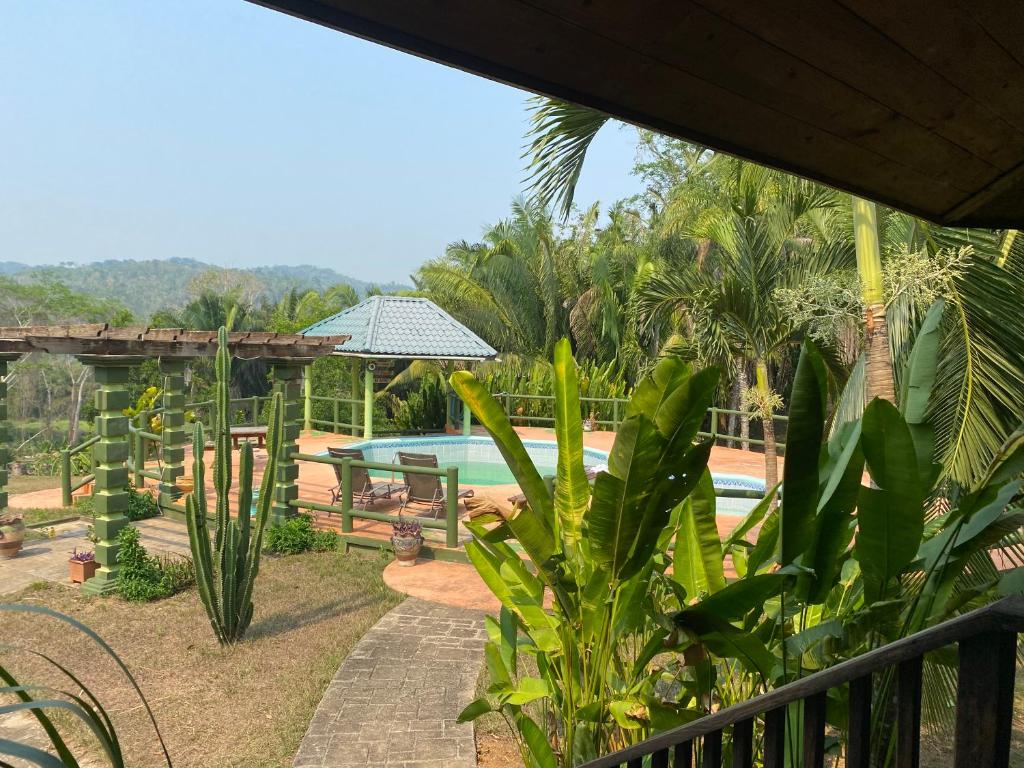 Inn the bush photo 3