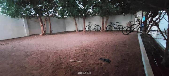 Turtle house photo 1