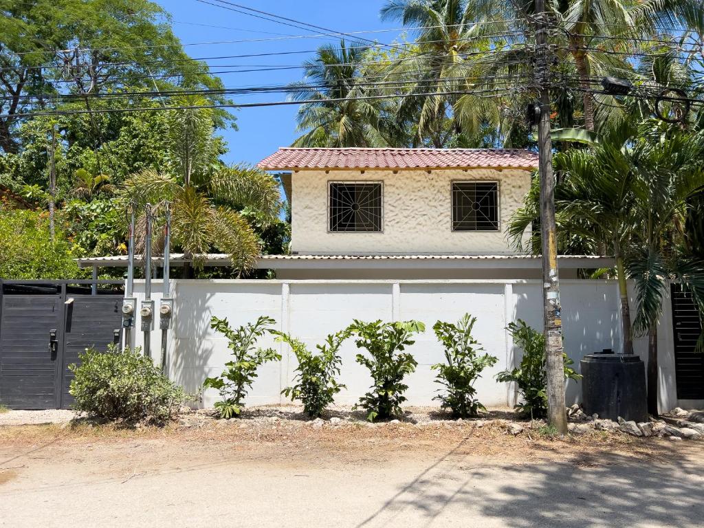 Salt Nosara photo 1