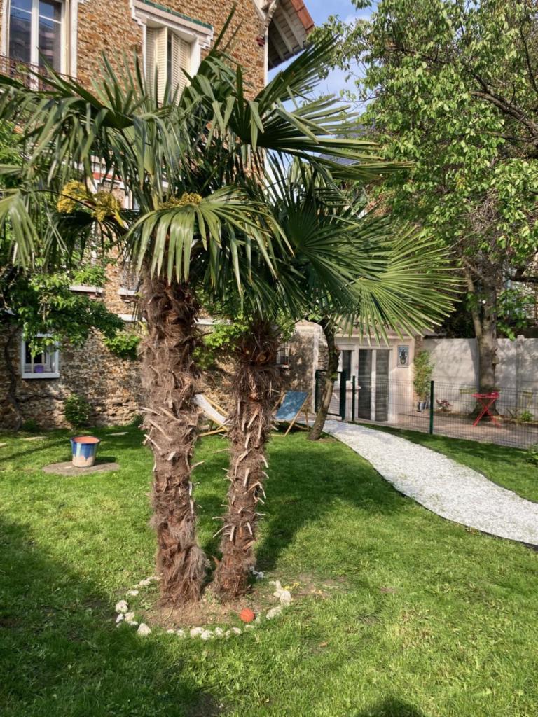SUITE AVEC TERRASSE ET JARDIN AUX PORTES DE PARIS photo 1