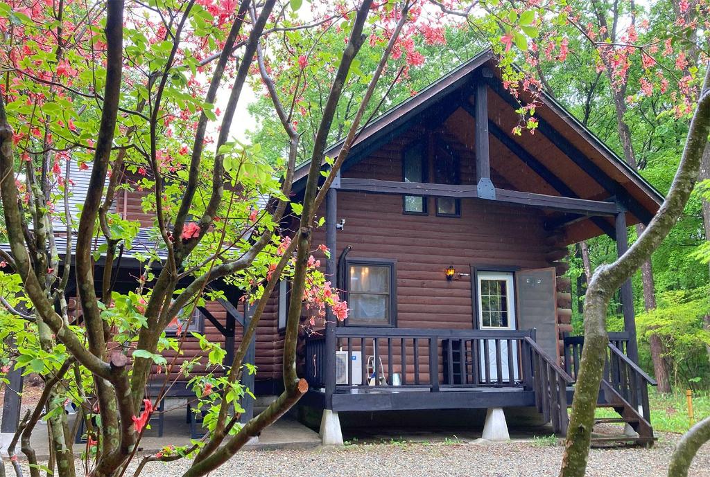 COTTAGE SaY photo 1