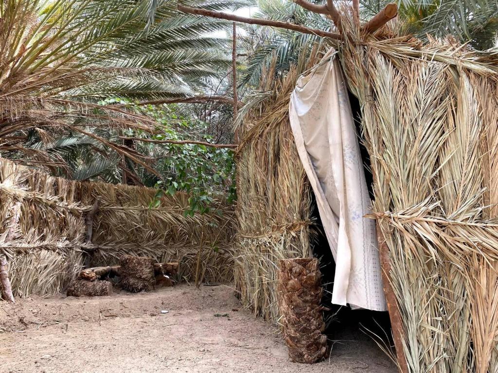 Forest Camp Siwa - كامب الغابة photo 2