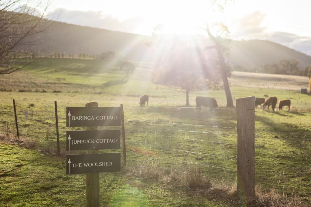 Baringa Cottage photo 1