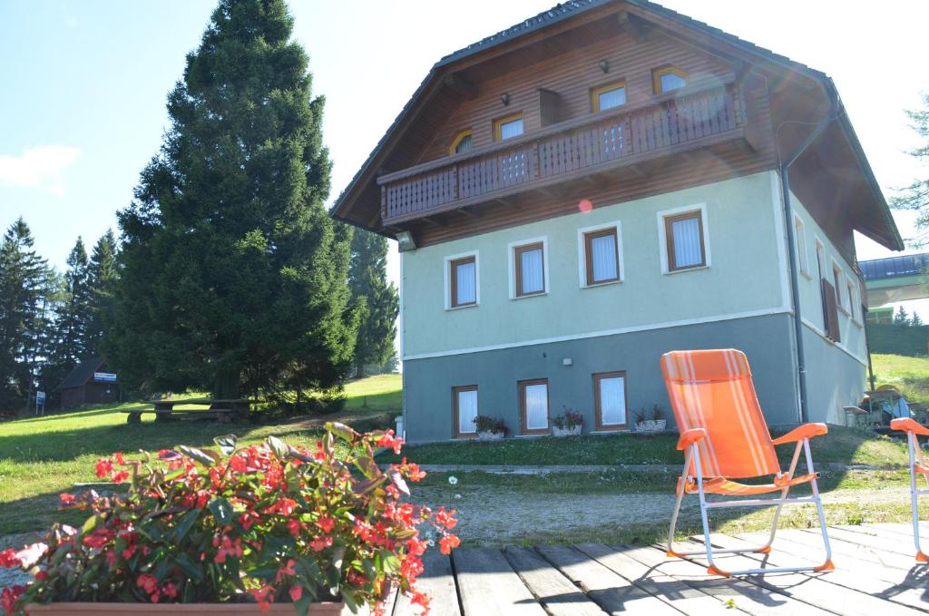 Apartmaji Srnca photo 3