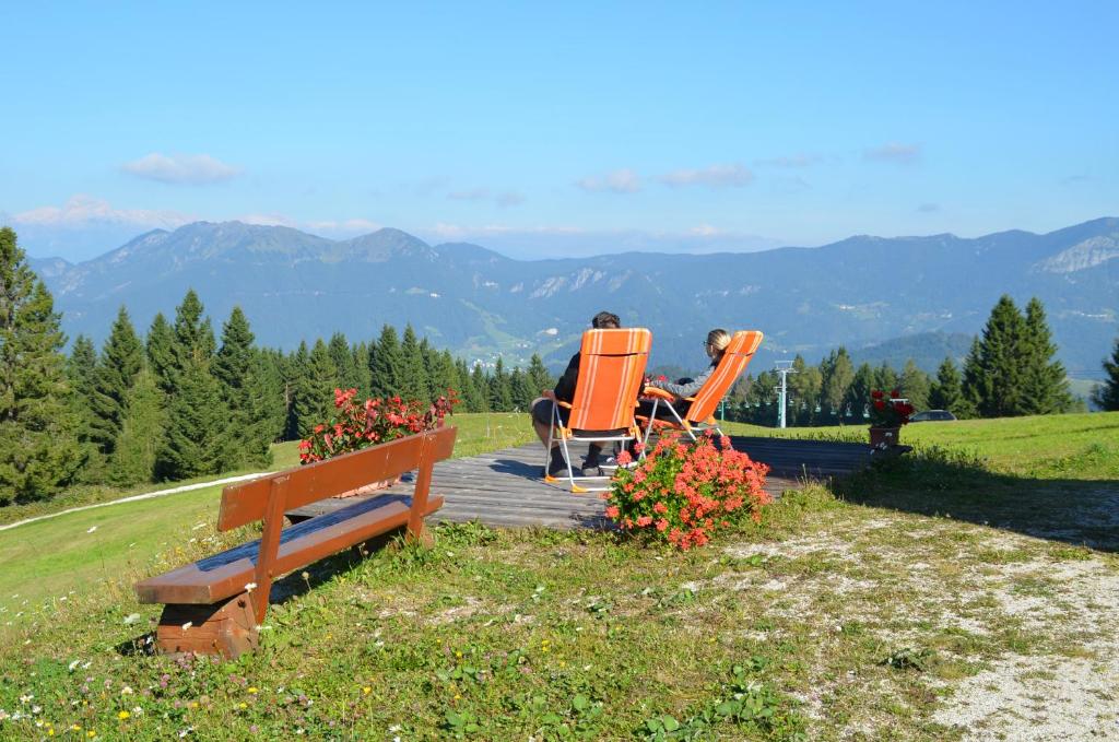 Apartmaji Srnca photo 1