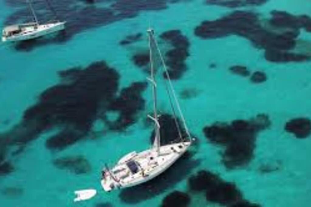 Calasetta Mon Amour ! Barca a Vela photo 3