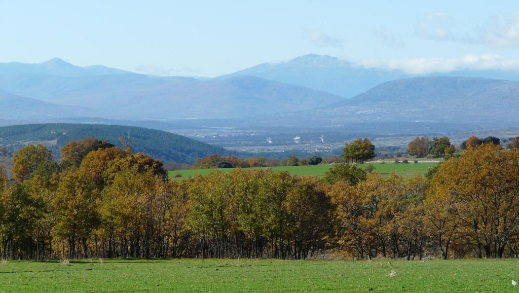 EL HUERTO DE LEÓN photo 2