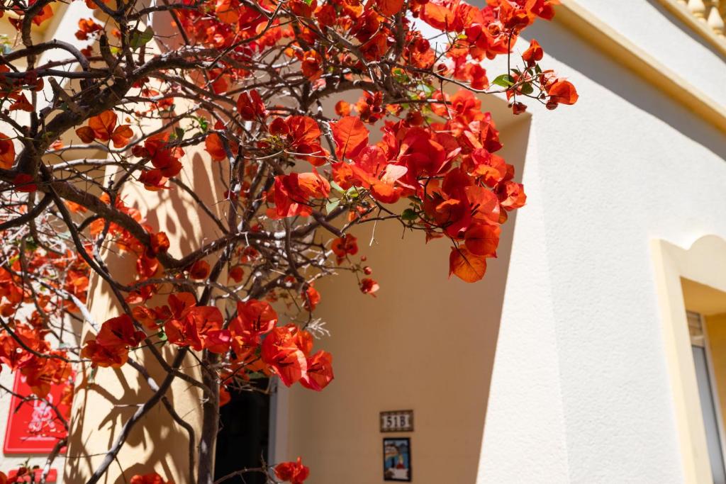 Villa la Giralda photo 1
