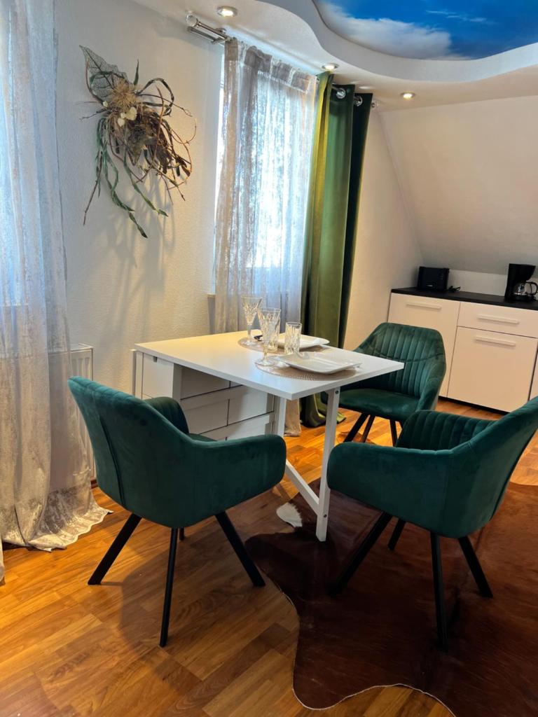LifeStyle Apartment Sinsheim photo 4