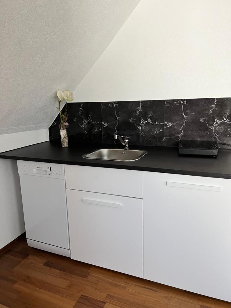 LifeStyle Apartment Sinsheim photo 2