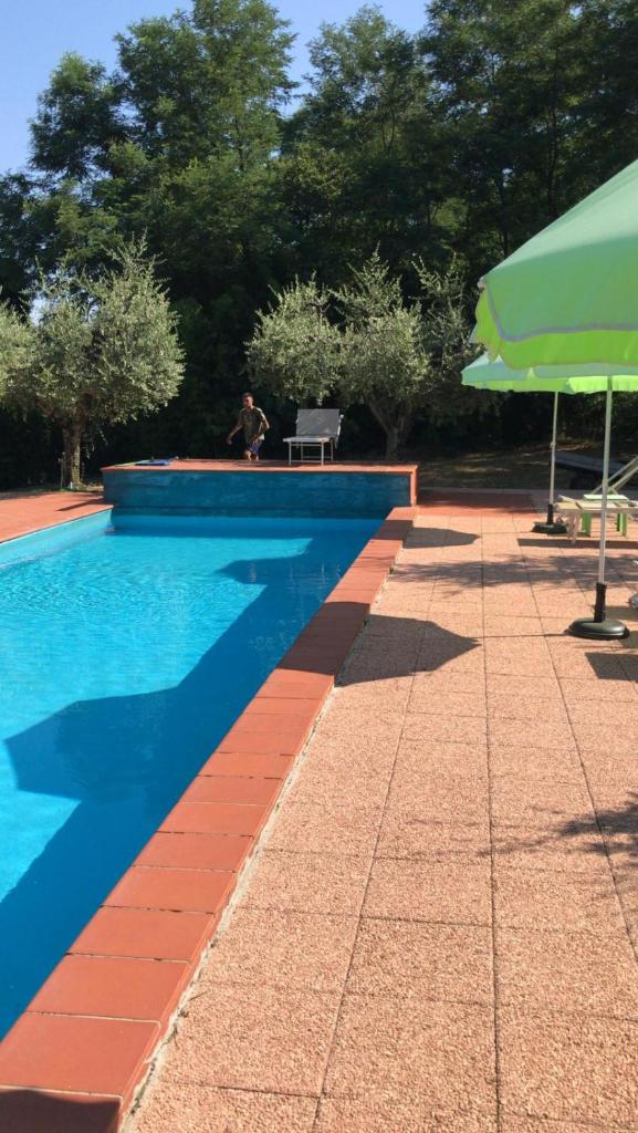 Podere La Cerraia photo 1