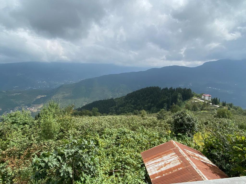 village_ house_ trabzon photo 2