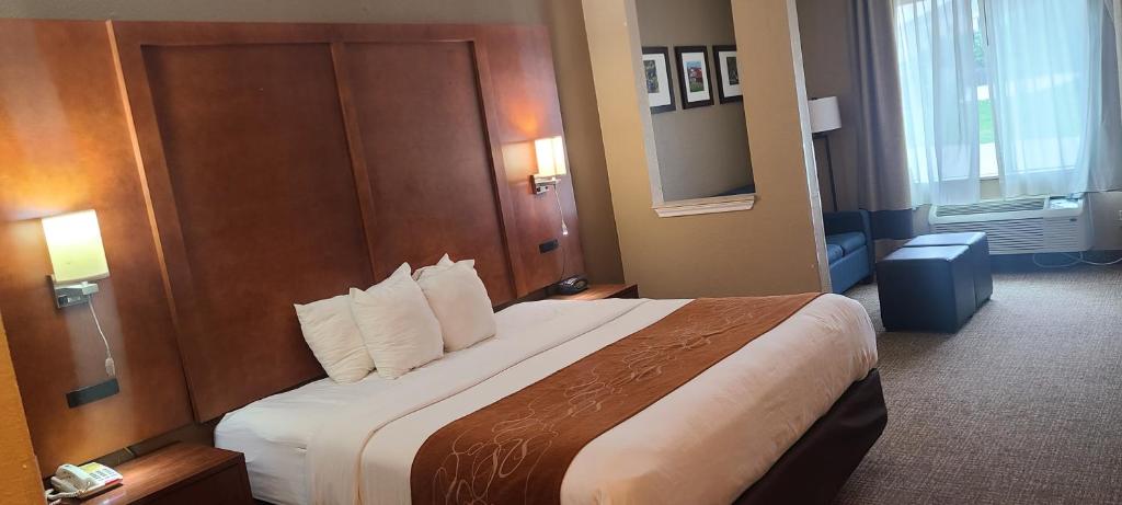 Comfort Suites New Braunfels photo 1