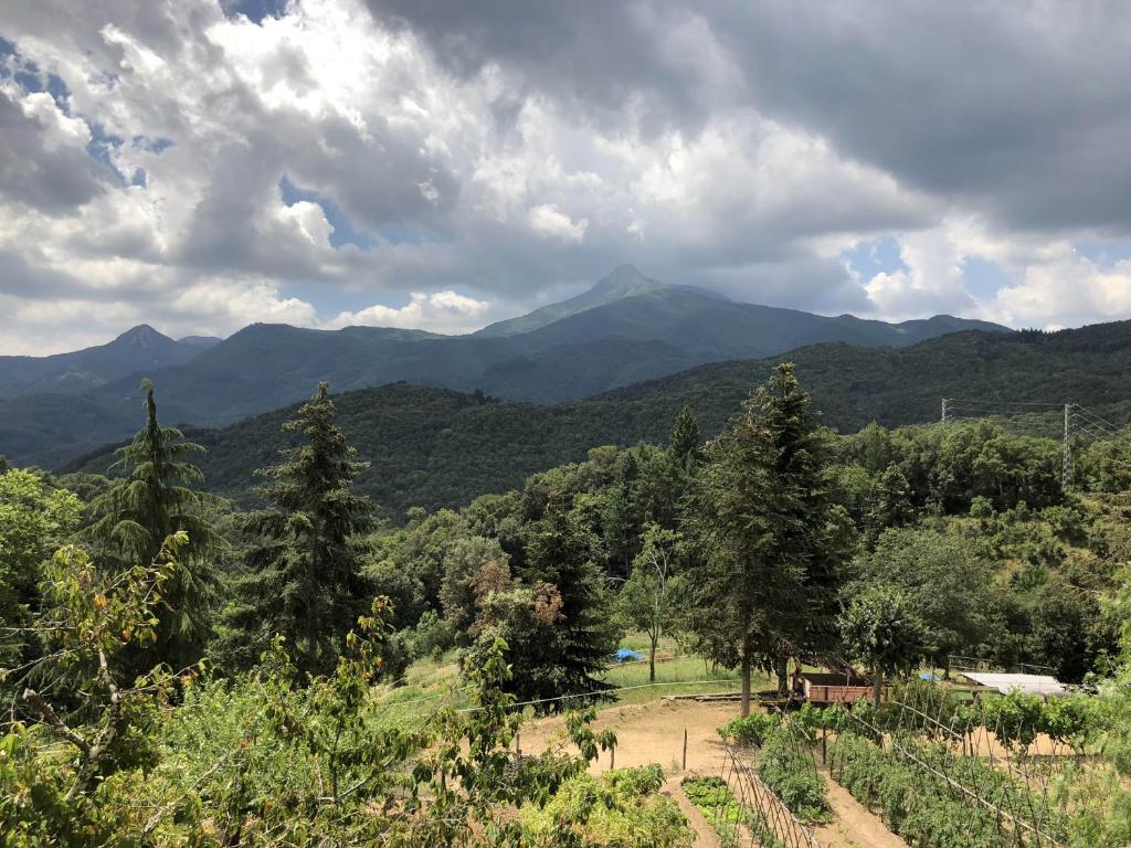 Apartamento con jardín, barbacoa y piscina en pleno Montseny Mas Romeu Turisme Rural photo 1
